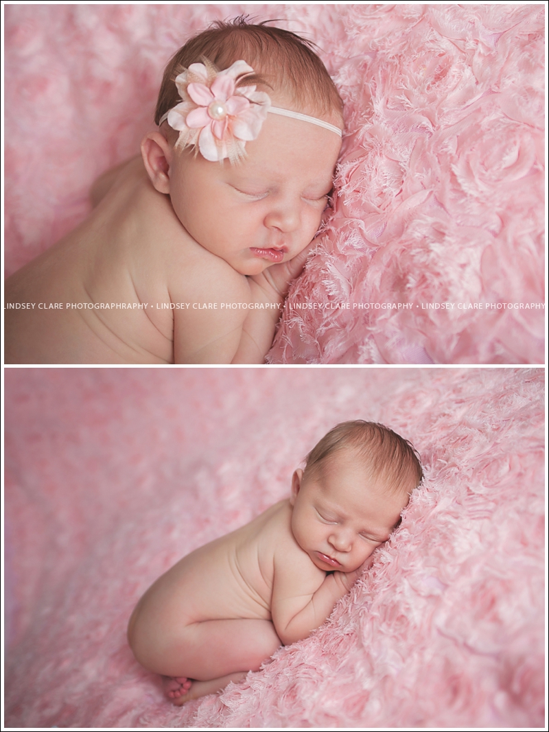 Holly San Antonio Newborn Photographer Lindsey Clare Photography 3